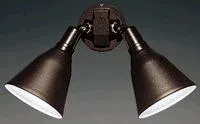 Outdoor adjustable two-headed swivel floodlight in a painted Black finish and solid Aluminum construction.