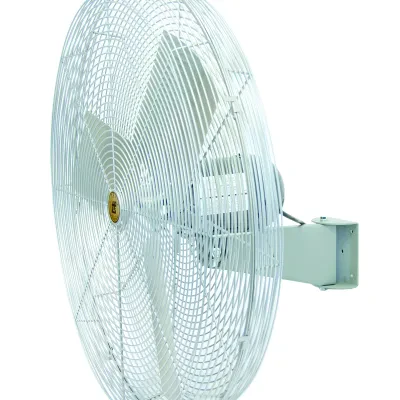 20" Unassembled Circulator, Wall Mount, Flow Rate- 3000 (High), 1100 (Low) CFM, Horsepower- 1/4 HP, 2.4 AMP, Speed- 2600 (High), 900 (Low) RPM, 120 V, 2 Speeds, 1 PH, AC Motor Driv...