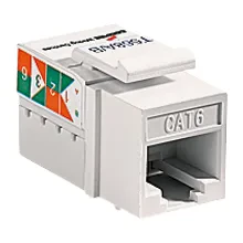 5546-6V