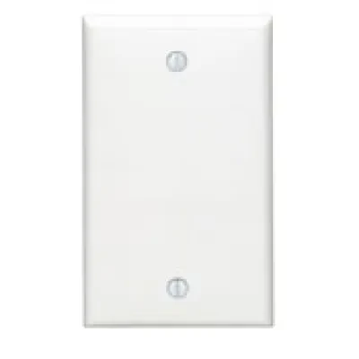 1-Gang No Device Blank Wallplate, Standard Size, Thermoplastic Nylon, Box Mount, White